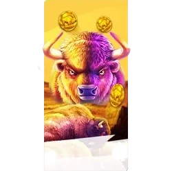 Buffalo
King